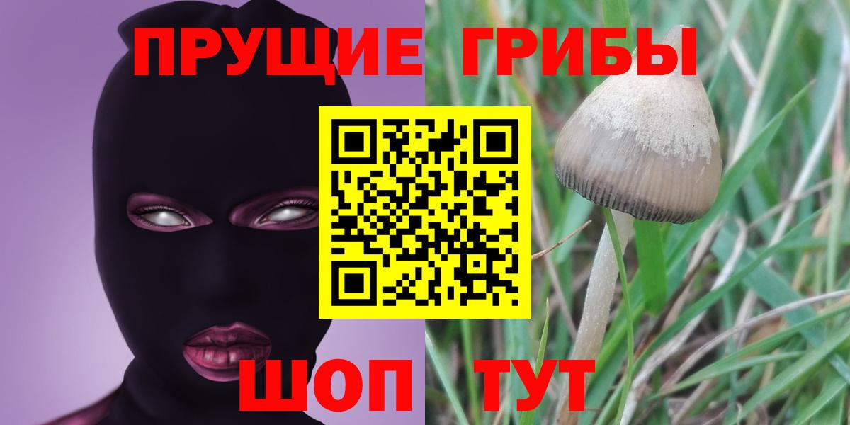 Галлюциногенные грибы Magic Shrooms Кстово